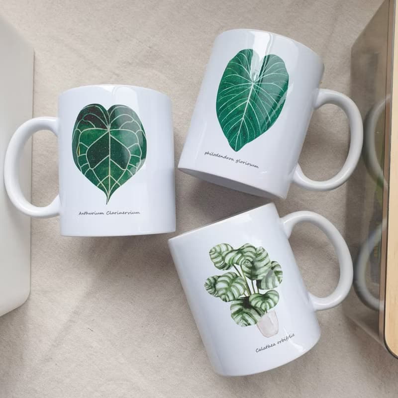 植物 青蘋果竹芋 觀葉植物 馬克杯