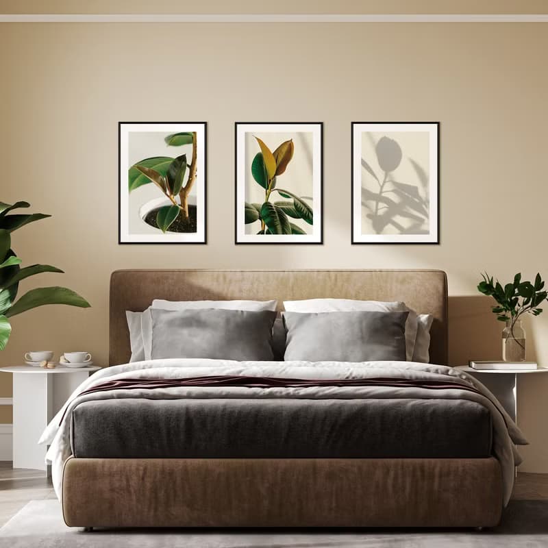 青翠碧綠•橡皮樹I -招財裝飾畫/新居落成/複製畫/開店禮物/綠植