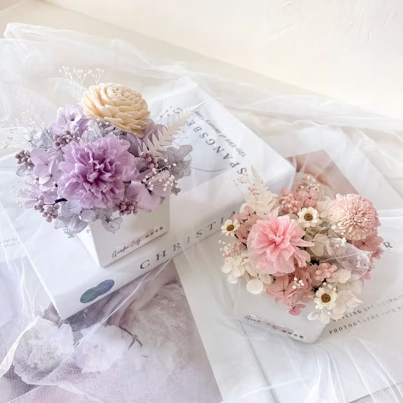 康乃馨乾燥花小盆栽 永生花桌面擺飾設計