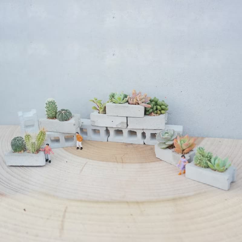 【荳荳多肉】【空心磚(六顆一組)】喬遷│送禮│升遷│多肉植物