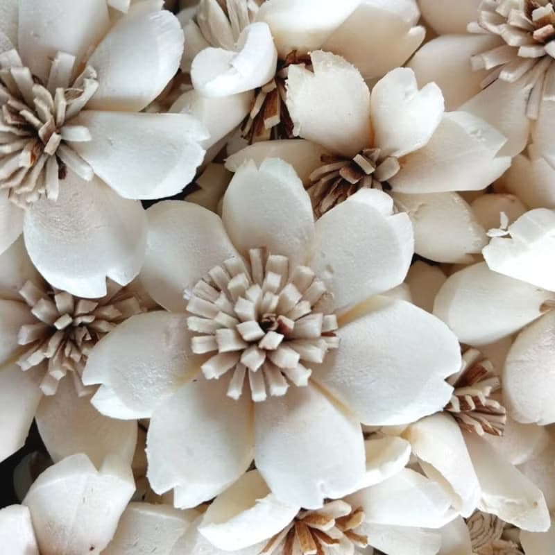 Butterfly Sola Wood Flower 5 cm. 50 flowers.