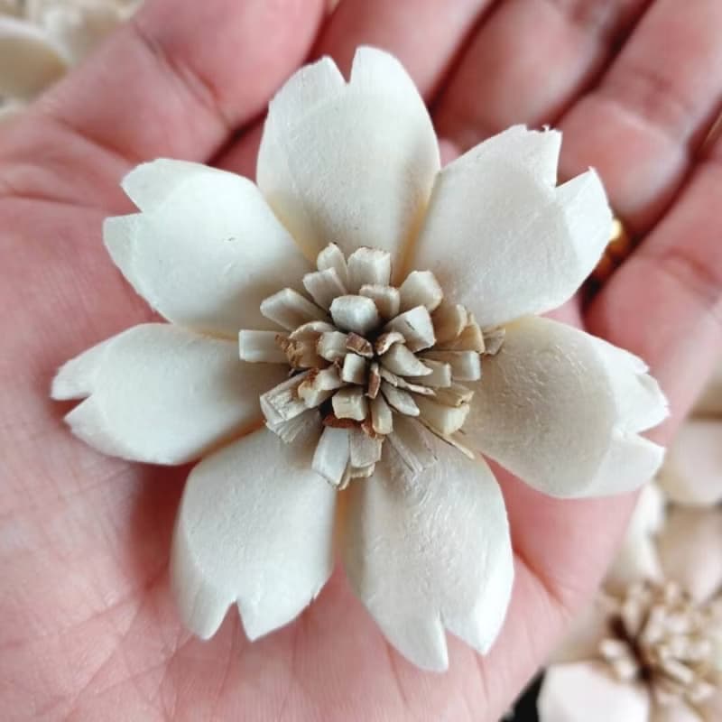 Butterfly Sola Wood Flower 5 cm. 50 flowers.