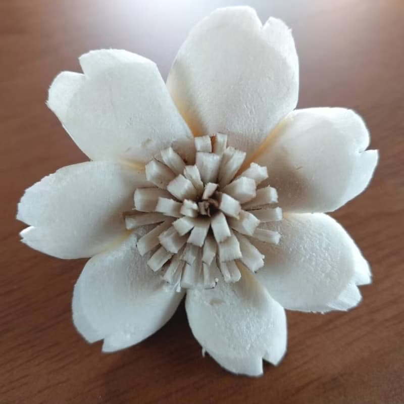 Butterfly Sola Wood Flower 5 cm. 50 flowers.