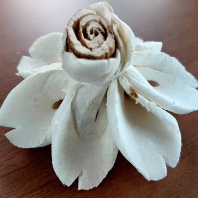 Butterfly Sola Wood Flower 5 cm. 50 flowers.