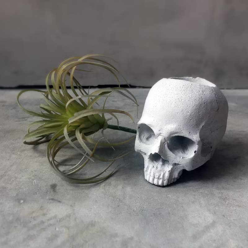 曙MUSE 水泥骷髏盆栽擺飾 手作 擴香石 擺件 辦公室小物 個性禮物