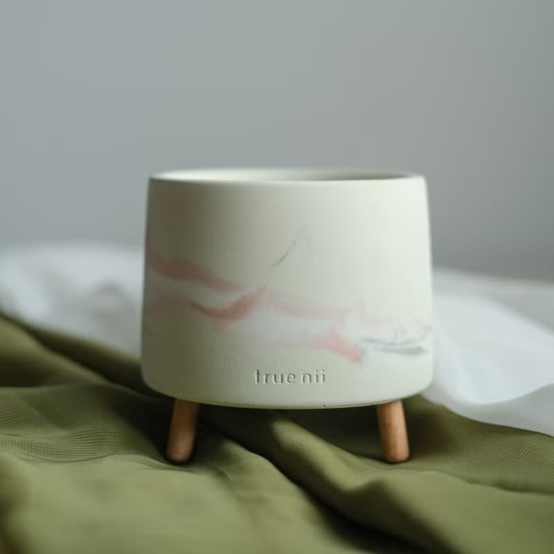 初泥 true nii | 長腳的水泥盆 -Flourish 春日初芽