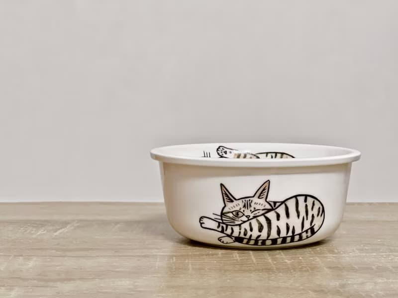 彩繪陶瓷碗 貓奴系列 陶瓷碗 飯碗  虎斑貓
