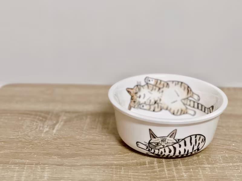 彩繪陶瓷碗 貓奴系列 陶瓷碗 飯碗  虎斑貓