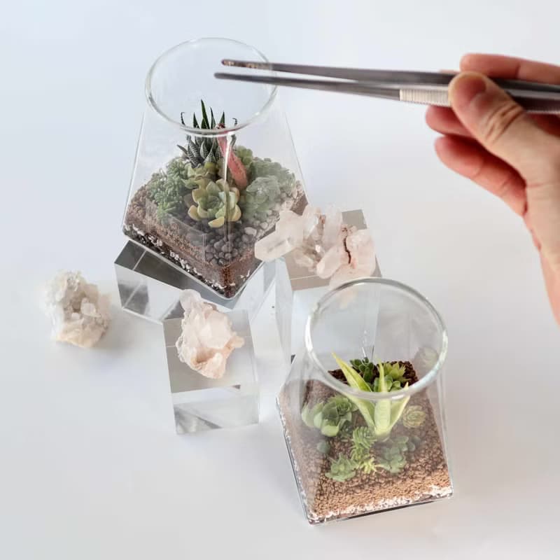 【體驗】【沙漠生態植物瓶】