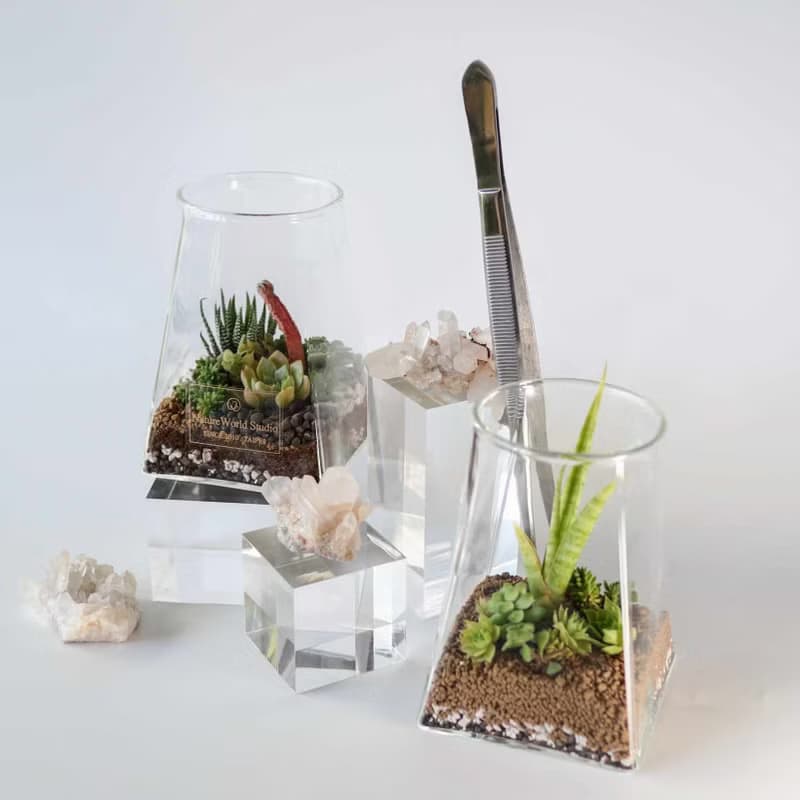 【體驗】【沙漠生態植物瓶】