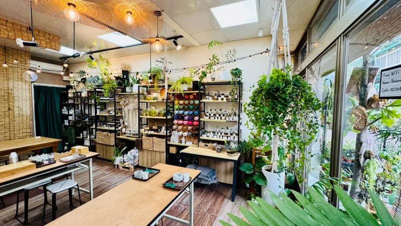 【體驗】【沙漠生態植物瓶】