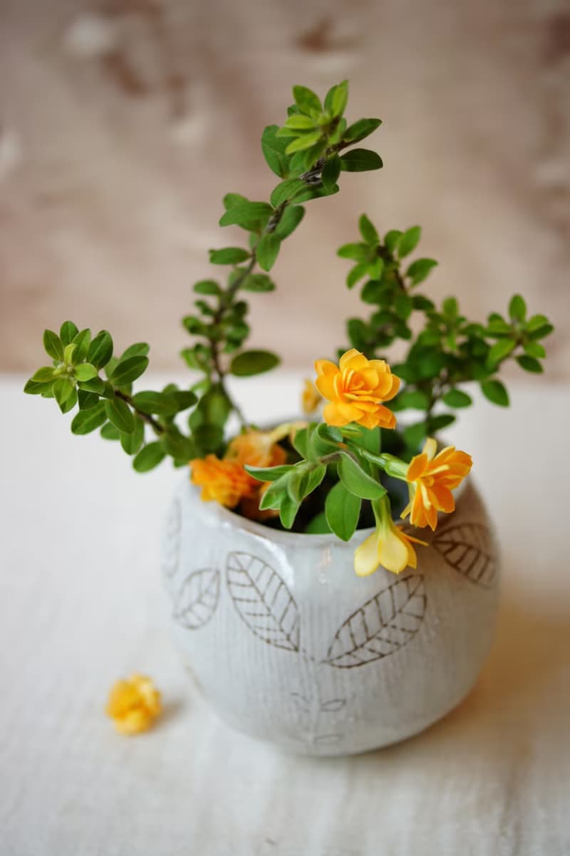 手捏陶花器  小葉 Ø6cm 圓形開運盆栽 多肉植栽小盆器 擺飾 花瓶