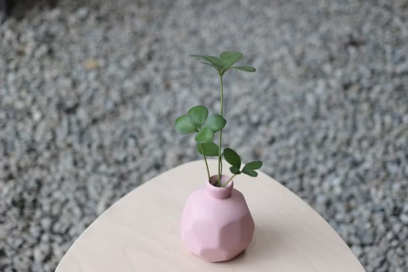 水培植栽│幸運鐵樹_室內植物 磨砂陶瓷幾何花瓶 粉