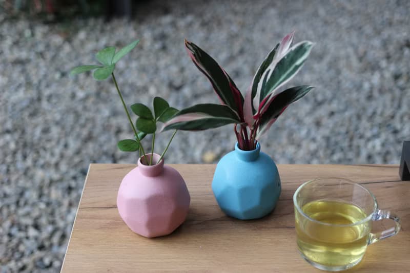 水培植栽│幸運鐵樹_室內植物 磨砂陶瓷幾何花瓶 粉