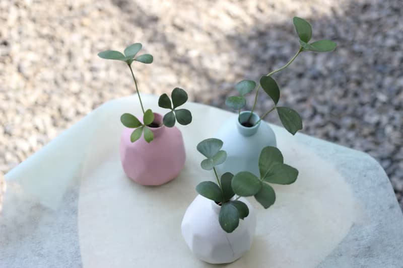 水培植栽│幸運鐵樹_室內植物 磨砂陶瓷幾何花瓶 粉