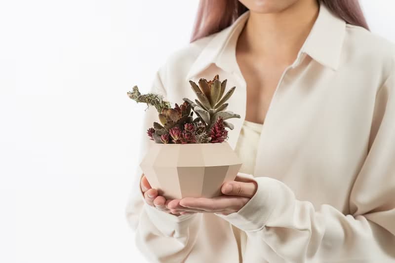 母親節禮物 - 慈愛珍藏 / 盆栽 植物 多肉 台灣設計 有肉