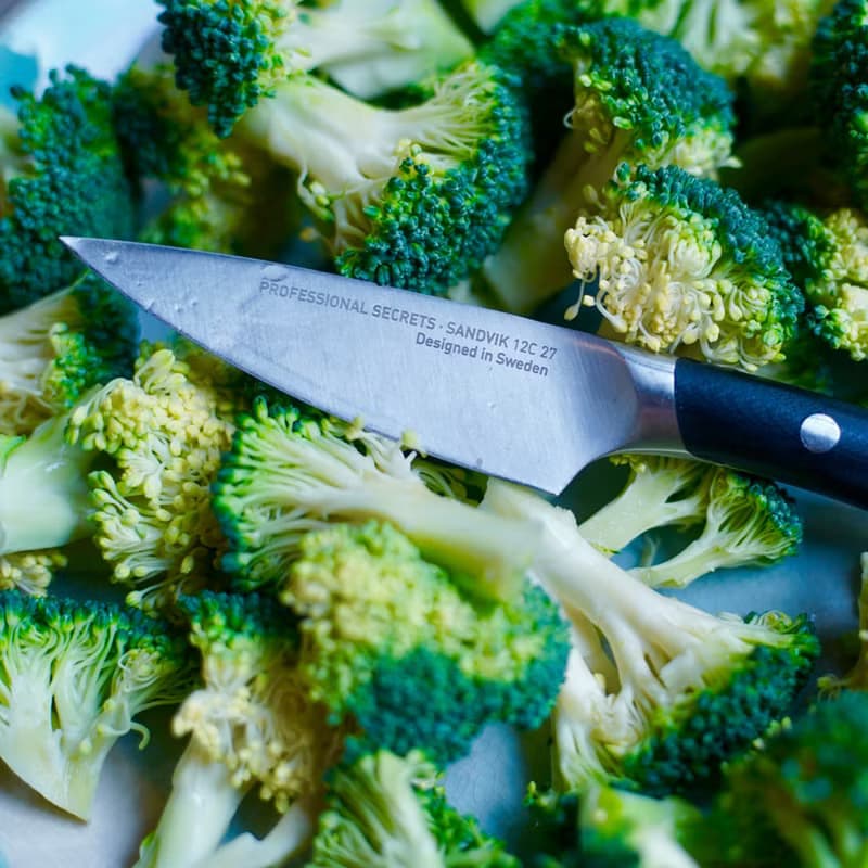 瑞典主廚秘密 多功能小刀 19.5CM 瑞典鋼材