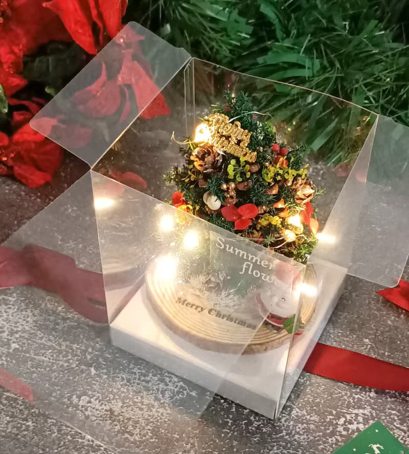 【松果聖誕樹】交換禮物/永生雪松/松果聖誕樹