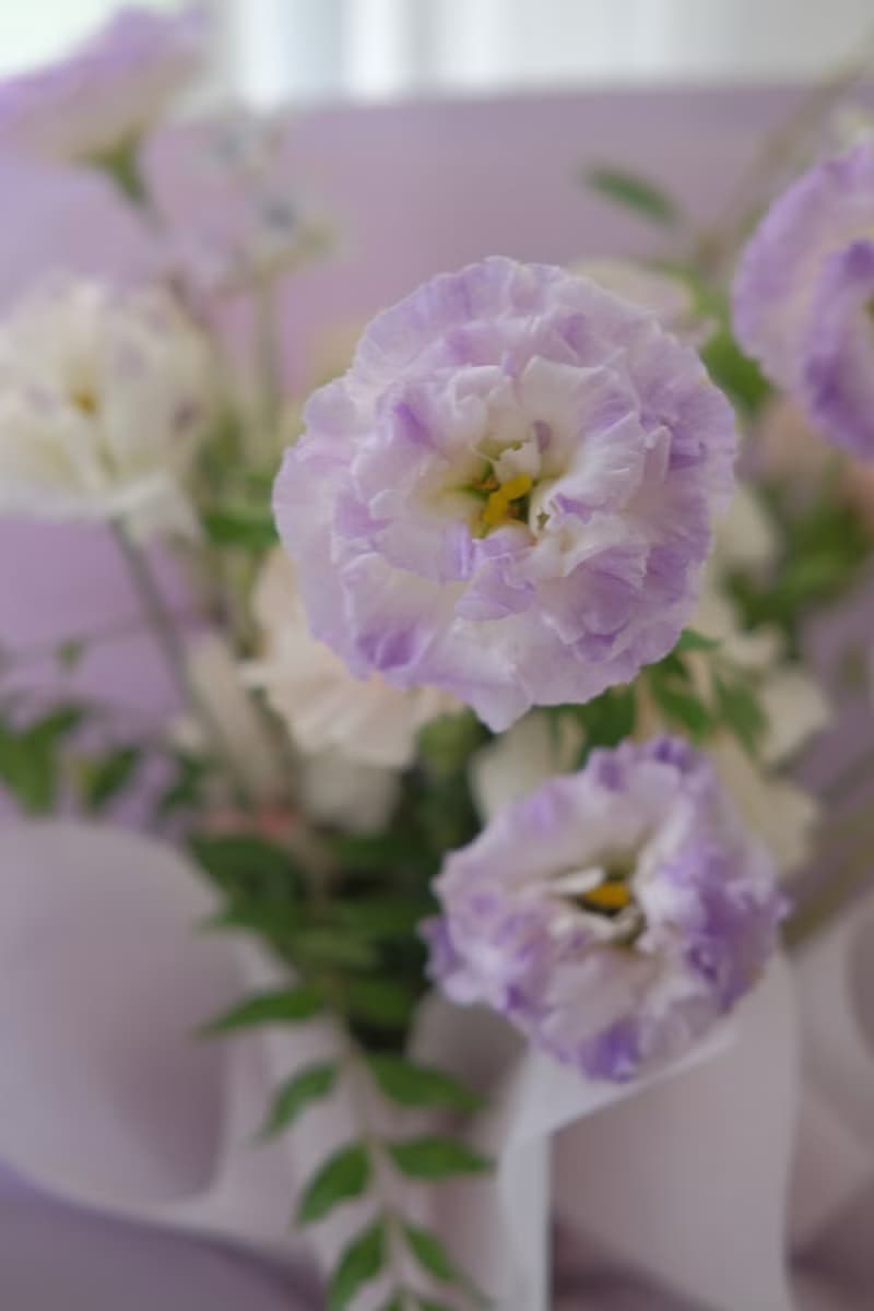 桔梗花束 生日畢業花束禮物  女友禮物