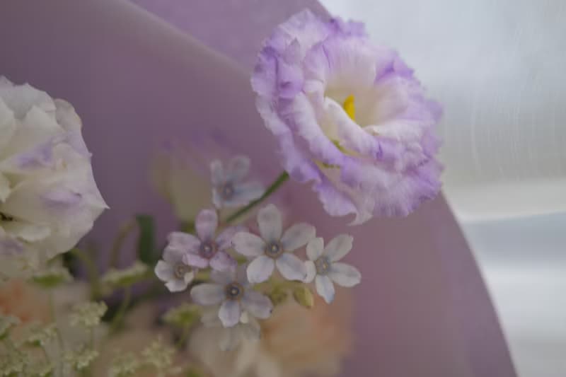 桔梗花束 生日畢業花束禮物  女友禮物