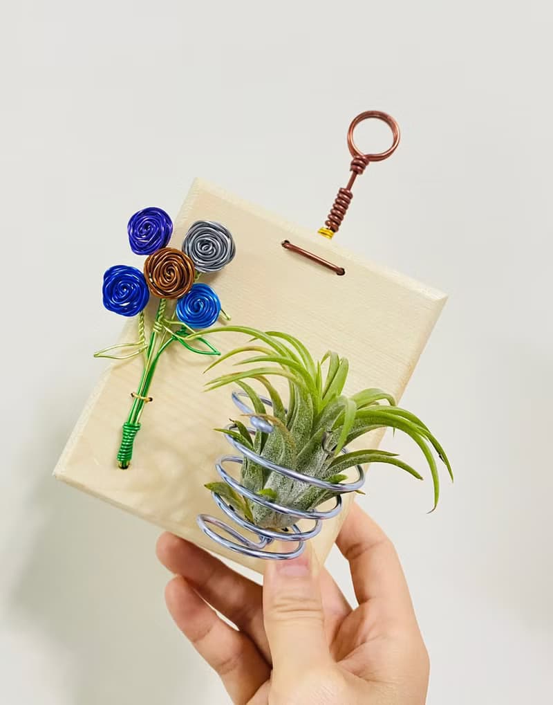 空氣鳳梨 原木玫瑰鋁線吊板 空間佈置 交換 畢業禮物(不含植物)