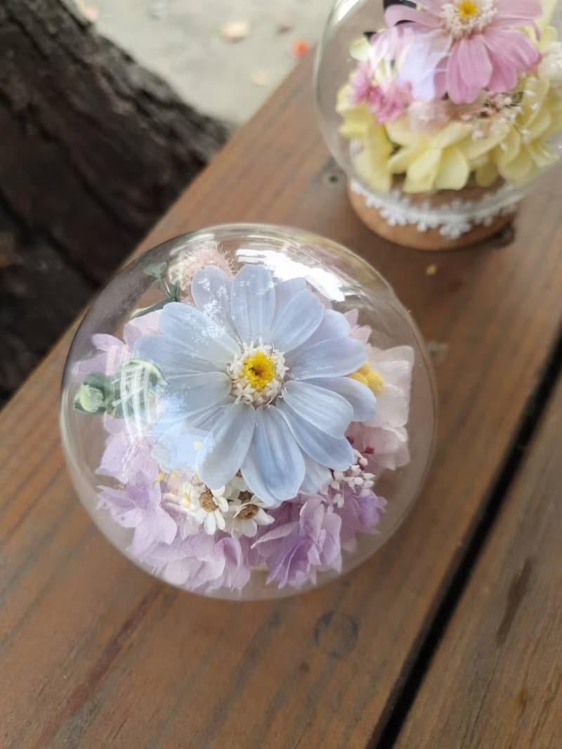 粉嫩系永生百日草 迷你圓球玻璃罩