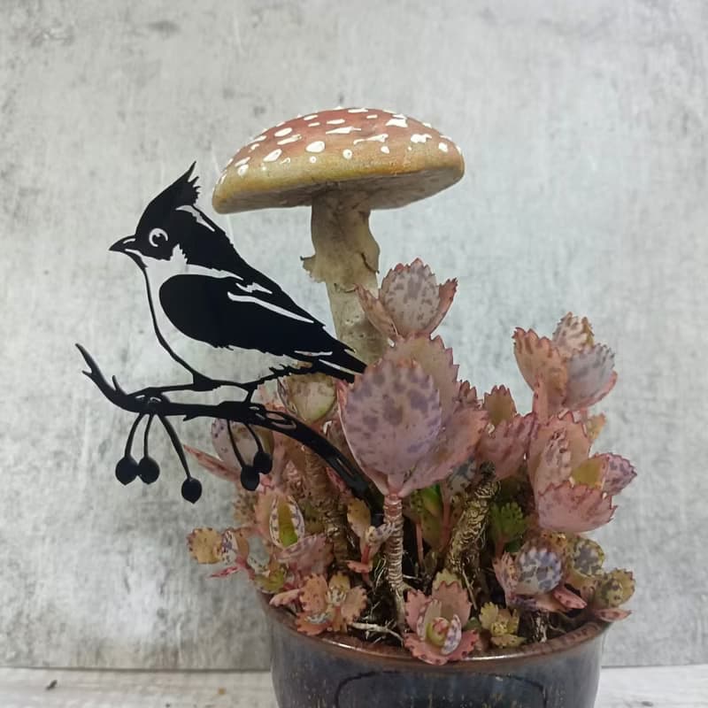 角落小劇場/趣味植栽造型裝飾/幸福鳥日子系列/帥啾/療癒小物