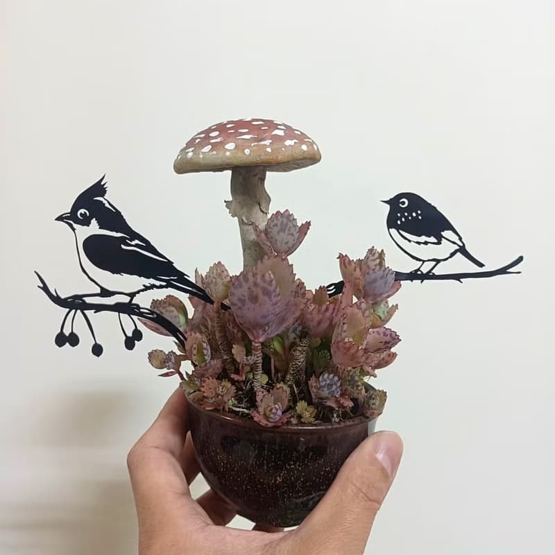 角落小劇場/趣味植栽造型裝飾/幸福鳥日子系列/帥啾/療癒小物