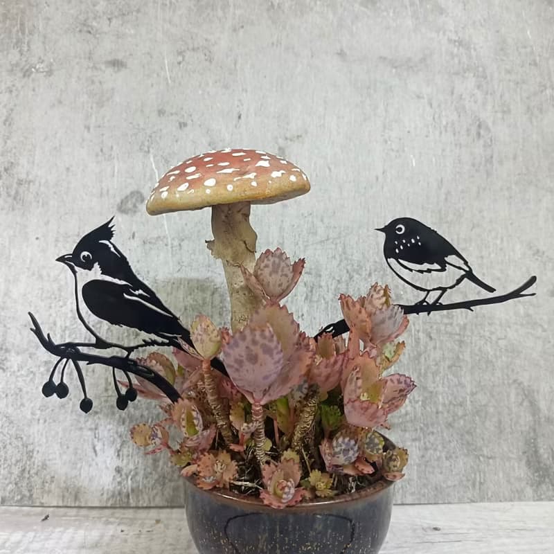 角落小劇場/趣味植栽造型裝飾/幸福鳥日子系列/帥啾/療癒小物