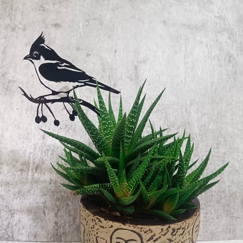 角落小劇場/趣味植栽造型裝飾/幸福鳥日子系列/帥啾/療癒小物