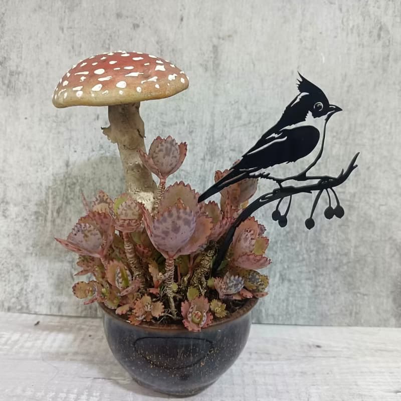 角落小劇場/趣味植栽造型裝飾/幸福鳥日子系列/帥啾/療癒小物