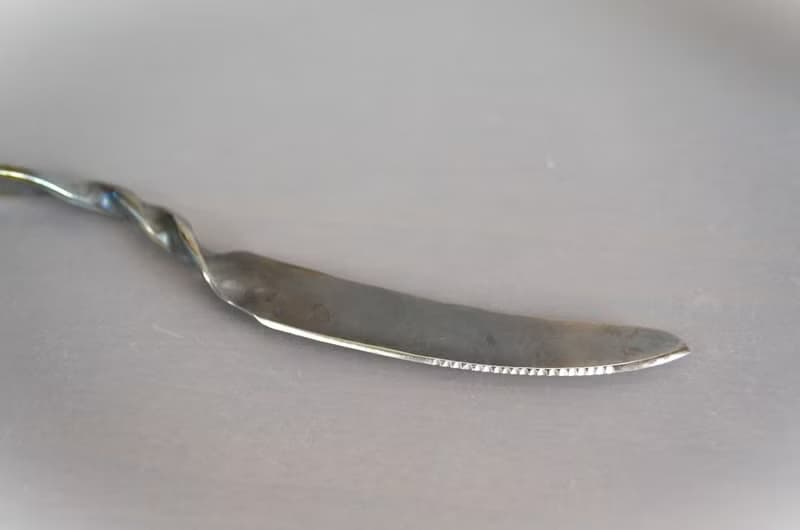 Titanium Cutlery・table knife・高級チタンテーブルナイフ・２２５ミリ