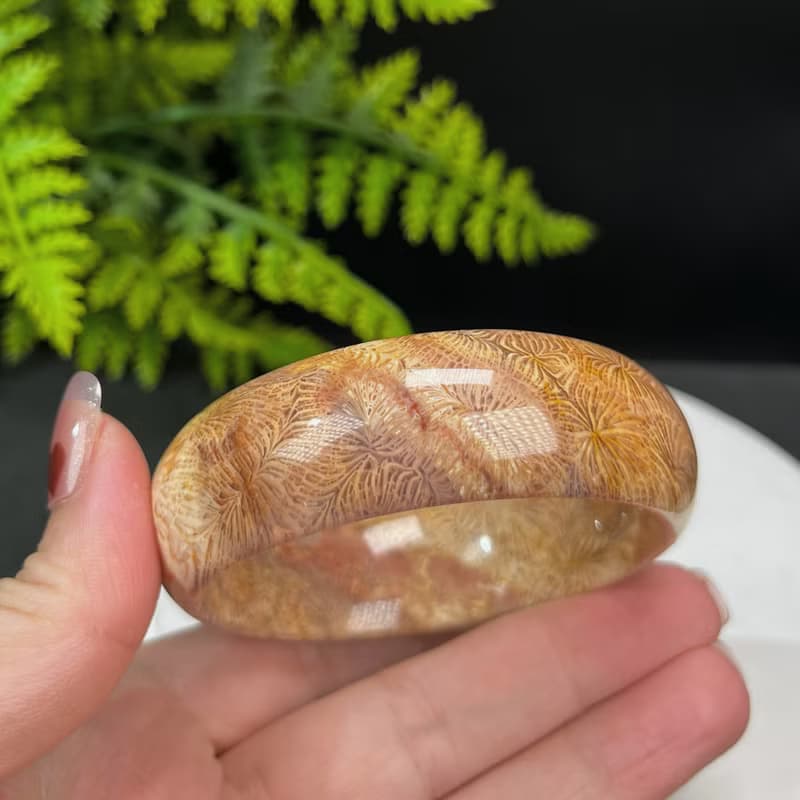 精品 珊瑚玉手鐲 56MM 冰潤高瓷 天眼鳳尾紋 菊花玉手環 生機希望