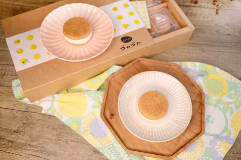 青檸乳酪雪餅 冰淇淋 冰品 冰心雪餅禮盒6入 夏日冰品 中秋禮盒