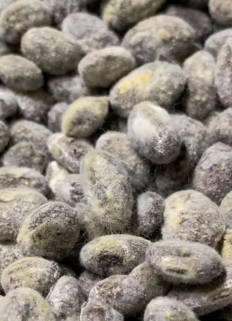 暮釀手作純釀造醬油六入組 黑豆蔭油/壺底油/油膏 | 無麩質