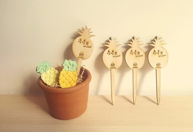 【旺旺鳳梨】Pineapple Grows 鳳梨種子球植栽組