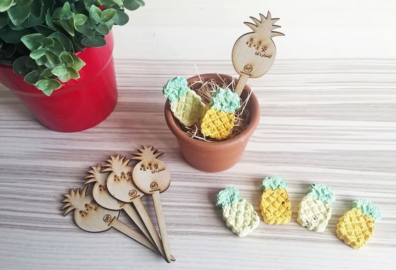 【旺旺鳳梨】Pineapple Grows 鳳梨種子球植栽組