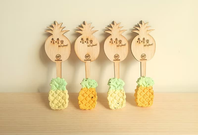 【旺旺鳳梨】Pineapple Grows 鳳梨種子球植栽組