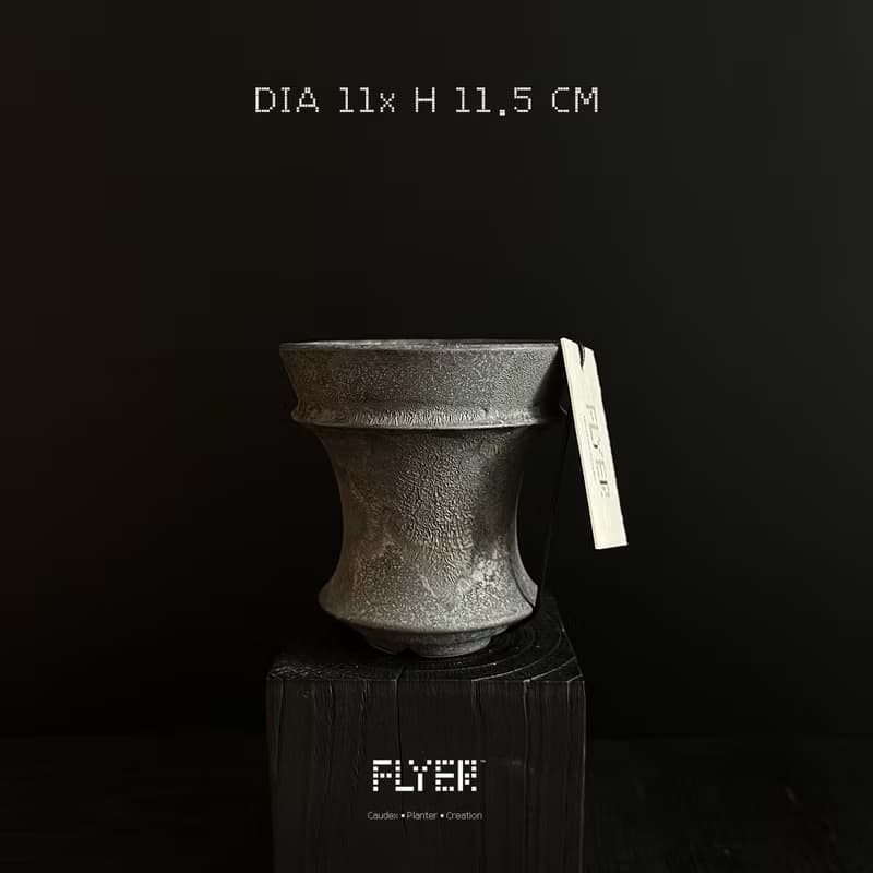 FLYER 塊根多肉植物陶盆器 龍舌蘭象牙宮象足漆樹盆器