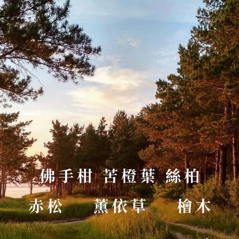 隅光 I TheHours香氛蠟燭