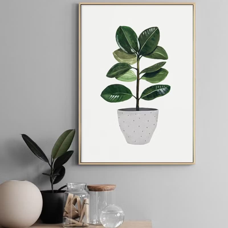 盆栽意趣 – 橡膠樹-畫/植物/餐桌佈置/拍照道具/咖啡廳/客廳