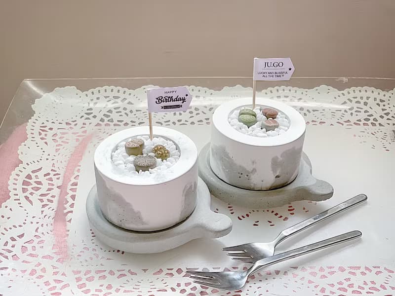 【新品9折.特殊多肉植物】石頭玉屁屁蛋糕(托盤需另購) @JU多肉