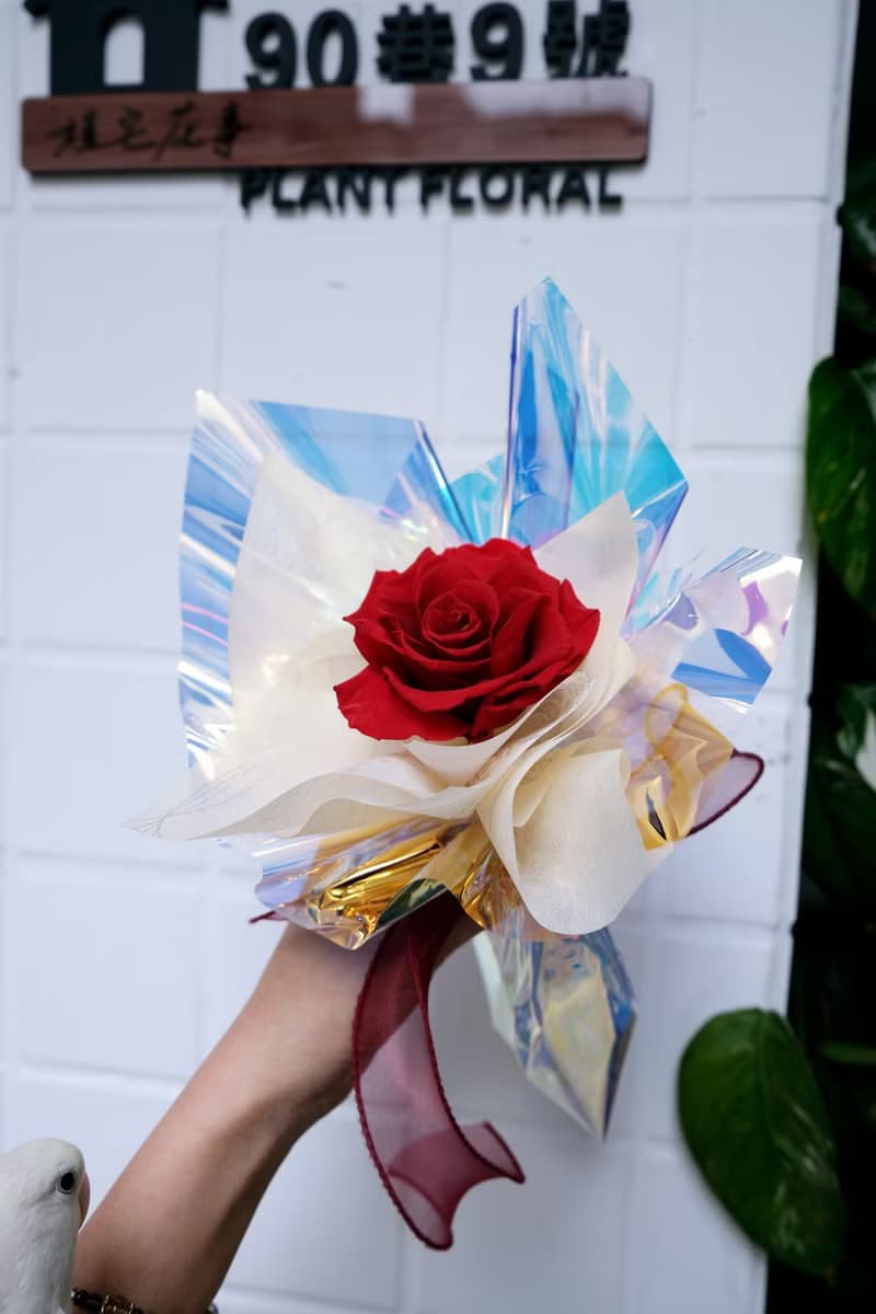 玫瑰花束 情人節 紅玫瑰