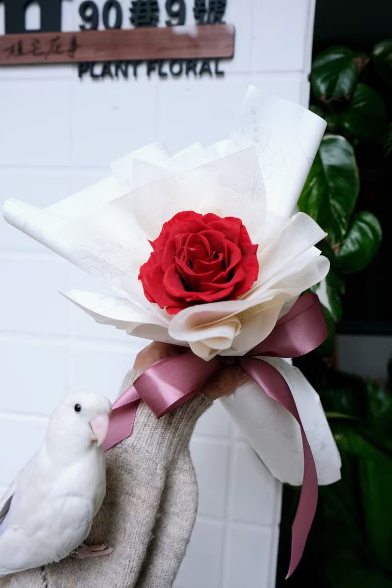 玫瑰花束 情人節 紅玫瑰