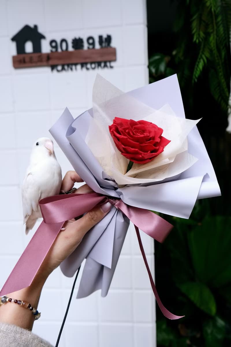 玫瑰花束 情人節 紅玫瑰