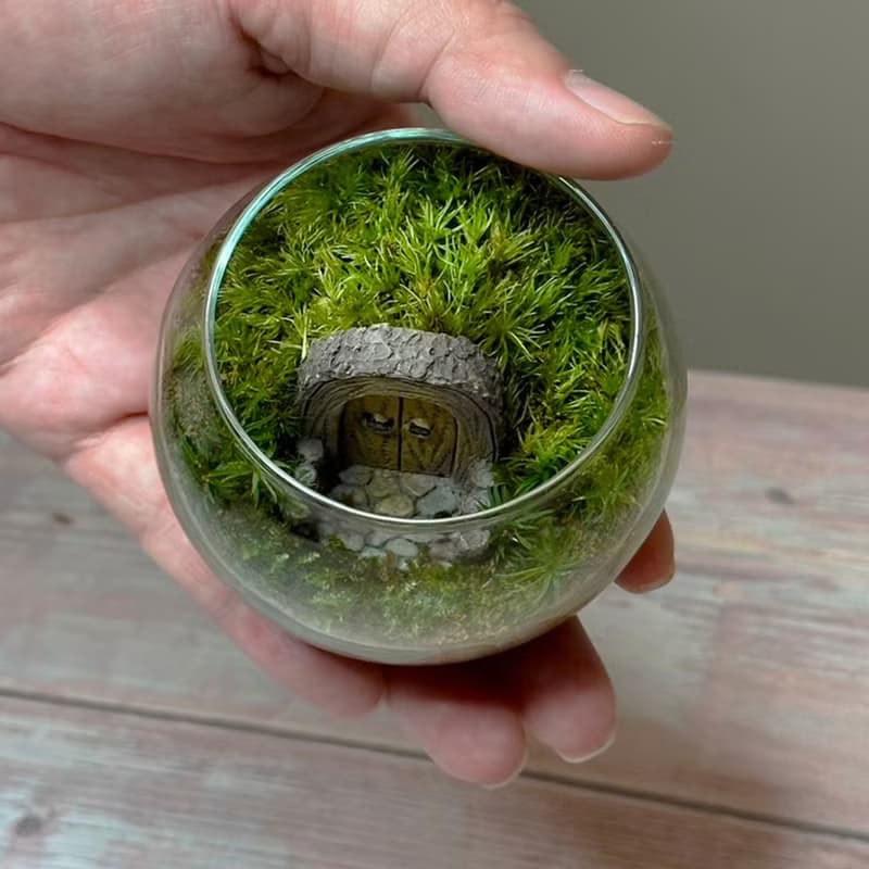 哈比人之家 / 迷你掌上型手工微景觀生態盆