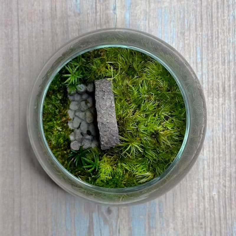 哈比人之家 / 迷你掌上型手工微景觀生態盆