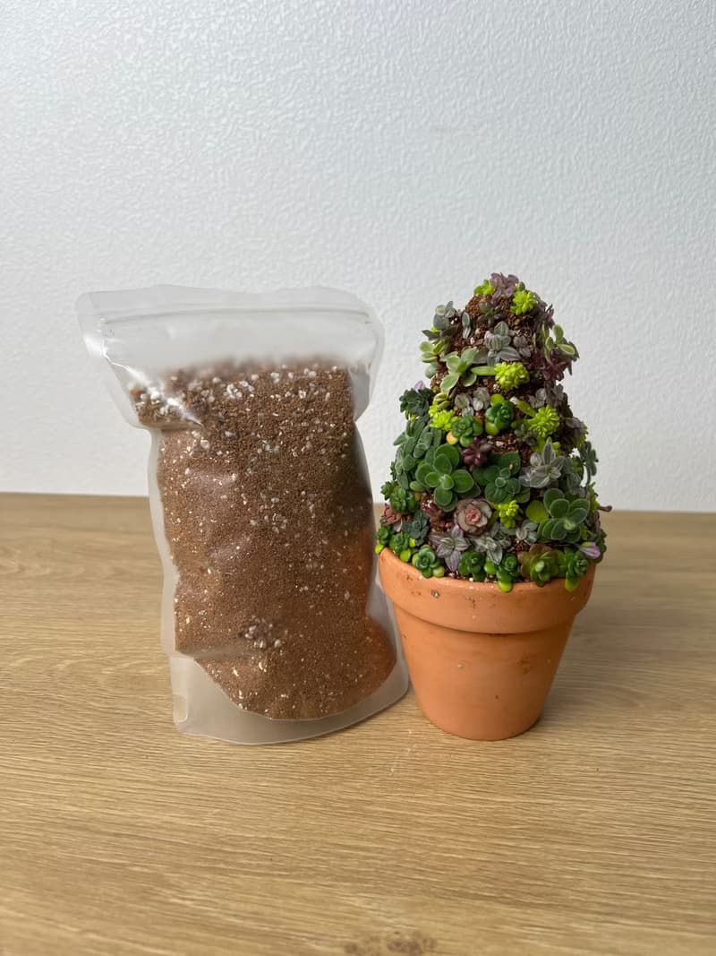 多肉植物黏性培養土 黏性土 多肉黏土適合立體種植及裝飾用塑形土