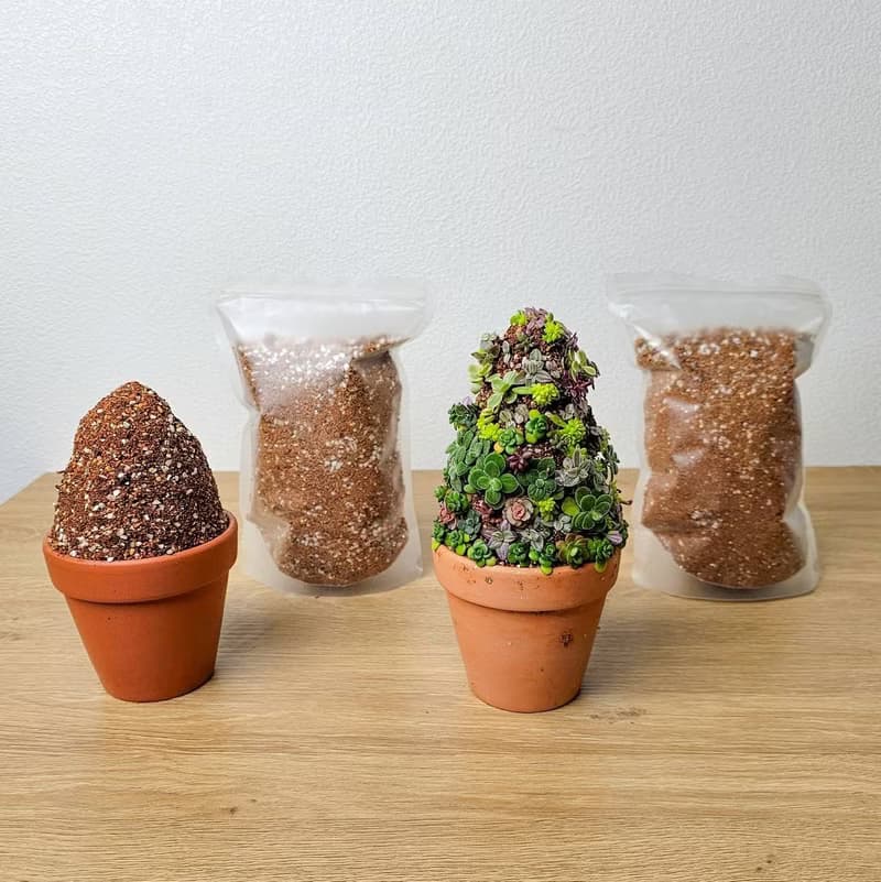 多肉植物黏性培養土 黏性土 多肉黏土適合立體種植及裝飾用塑形土