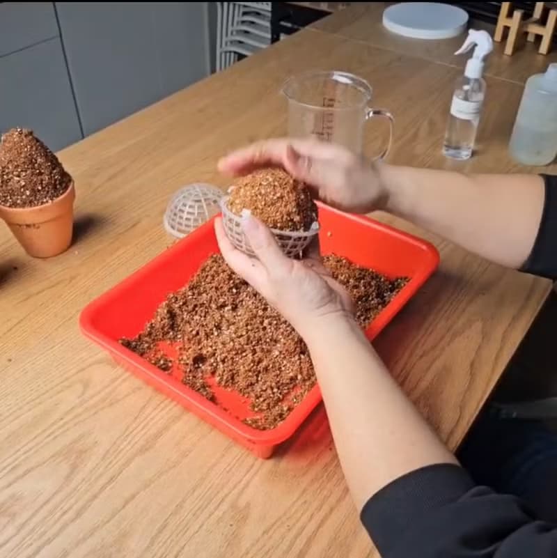 多肉植物黏性培養土 黏性土 多肉黏土適合立體種植及裝飾用塑形土